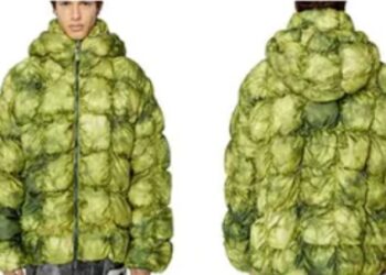 ಕ್ಯಾಬೆಜ್ ಎಲೆಗಳಂತೆ ಕಾಣುವ ಜಾಕೆಟ್ ಕುರಿತು ಬಿಸಿ ಬಿಸಿ ಚರ್ಚೆ;ಅಬ್ಬಾಬ್ಬ,ಇದರ ಬೆಲೆ ಎಷ್ಟು ಗೊತ್ತಾ?