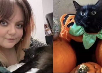 ಬೆಕ್ಕಿಗಾಗಿ ಬರೋಬ್ಬರಿ 7 ಲಕ್ಷ ರೂ. ಖರ್ಚು ಮಾಡಿದ ಯುವತಿ