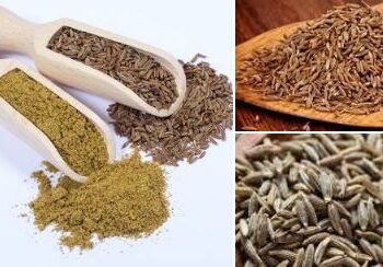 ರಾತ್ರಿ ಹೊತ್ತು ಪುರುಷರು ಜೀರಿಗೆ ನೀರು ಕುಡಿದ್ರೆ ಬಾರಿ ಲಾಭಗಳಿವೆಯಂತೆ, ಏನದು?ಇಲ್ಲಿದೆ ಮಾಹಿತಿ…