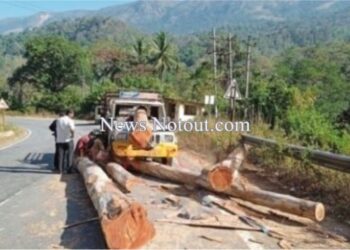 ಪಿಕಪ್ ವಾಹನದೊಳಗೆ ನುಗ್ಗಿದ ಮರದ ದಿಮ್ಮಿ,ಅದೃಷ್ಟವಶಾತ್ ಪಾರಾದ ಚಾಲಕ