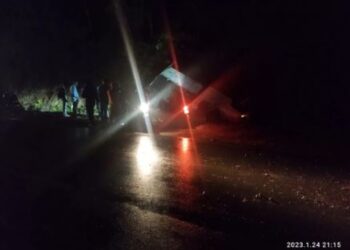 ಕಡೆಪಾಲದಲ್ಲಿ ಮತ್ತೊಂದು ಅಪಘಾತ: ಪಿಕಪ್ ಪಲ್ಟಿ, ಚಾಲಕ ಗಂಭೀರ