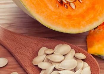 ಸಿಹಿ ಕುಂಬಳಕಾಯಿ ಬೀಜವನ್ನು ಬಿಸಾಡುತ್ತಿದ್ದೀರಾ?ಅದರ ಪ್ರಯೋಜನಗಳನ್ನು ತಿಳಿದುಕೊಂಡರೆ ಮತ್ತೆಂದೂ ಎಸೆಯುವುದಕ್ಕೆ ಮನಸ್ಸೇ ಬಾರದು