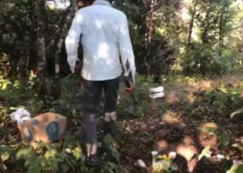 ದಟ್ಟಾರಣ್ಯದ ಮಧ್ಯೆ ವಾಮಾಚಾರ ,ಮೂರು ಕೋಳಿ ಬಲಿ:ಸ್ಥಳೀಯರಲ್ಲಿ ಮನೆ ಮಾಡಿದ ಆತಂಕ