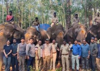 ಕಡಬದಲ್ಲಿ ಆಫರೇಷನ್ ಎಲಿಫೆಂಟ್ ಆರಂಭ