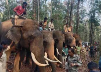 ಕಡಬದಲ್ಲಿ ಎಲಿಫೆಂಟ್ ಕಾರ್ಯಾಚರಣೆ ಸ್ಥಗಿತ; ಗ್ರಾಮಸ್ಥರ ಆಕ್ರೋಶ