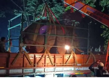 ಕಾಡಾನೆ ಸೆರೆಯಾದ ನಂತರ ಸ್ಥಳದಲ್ಲಿ ವಾಗ್ವಾದ,ಅಧಿಕಾರಿಗಳಿಗೆ ಹಲ್ಲೆ: ಓರ್ವ ವಶಕ್ಕೆ