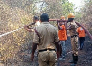 ಬಂಟ್ವಾಳ : ಅರಣ್ಯ ಪ್ರದೇಶಕ್ಕೆ ಬೆಂಕಿ,ಅಪಾರ ಹಾನಿ