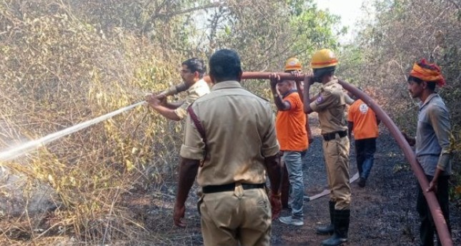 ಬಂಟ್ವಾಳ : ಅರಣ್ಯ ಪ್ರದೇಶಕ್ಕೆ ಬೆಂಕಿ,ಅಪಾರ ಹಾನಿ