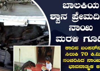 70 ಕಿ.ಮೀ ಕಾರಿನಲ್ಲಿ ಸಂಚರಿಸಿದರೂ ಮರಳಿ ವಾಸ ಸ್ಥಳ ತಲುಪಿದ ನಾಯಿ!