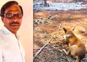 ಕಡಬ ಆನೆ ದಾಳಿ: ರಮೇಶ್ ರೈ ಸಮಾಧಿ ಮುಂದೆ ಮನೆಯೊಡೆಯನಿಗಾಗಿ ಕಾಯುತ್ತಿದೆ ಆ ಜೀವ !