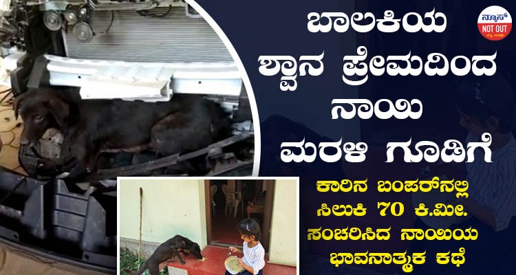 70 ಕಿ.ಮೀ ಕಾರಿನಲ್ಲಿ ಸಂಚರಿಸಿದರೂ ಮರಳಿ ವಾಸ ಸ್ಥಳ ತಲುಪಿದ ನಾಯಿ!