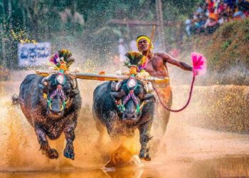 ‘ಕಂಬಳ’ ರಾಜ್ಯಮಟ್ಟದ ಕ್ರೀಡೆಯಾಗಿ ಪರಿಗಣಿಸಲಿದೇಯಾ ಸರ್ಕಾರ? ಇಲ್ಲಿವೆ ಮಾಹಿತಿ