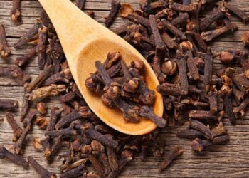 ಪ್ರತಿದಿನ ಲವಂಗ ಸೇವಿಸಿದ್ರೆ ಇಷ್ಟೆಲ್ಲಾ ಪ್ರಯೋಜನಗಳಿವೆಯಾ?
