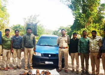 ಅಕ್ರಮವಾಗಿ ಸಾಗಿಸುತ್ತಿದ್ದ ಶ್ರೀಗಂಧದ ಕೊರಡು ವಶ