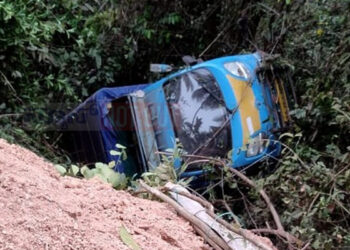 ಸುಳ್ಯ : ಹೊಂಡಕ್ಕೆ ಉರುಳಿದ ಗೂಡ್ಸ್ ವಾಹನ !