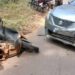 ಸುಳ್ಯ: ಕಾರು-ಸ್ಕೂಟಿ ಡಿಕ್ಕಿ , ಸ್ಕೂಟಿ ಸವಾರನಿಗೆ ಗಾಯ, ಆಸ್ಪತ್ರೆಗೆ ದಾಖಲು