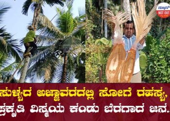 ಸುಳ್ಯದ ಅಜ್ಜಾವರದಲ್ಲಿ ಸೋಗೆ ರಹಸ್ಯ, ಪ್ರಕೃತಿ ವಿಸ್ಮಯ ಕಂಡು ಬೆರಗಾದ ಜನ..!