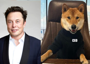 ಟ್ವಿಟರ್‌ ಸಂಸ್ಥೆಗೆ ಈ ನಾಯಿಯೇ ಸಿಇಒ.! : ಎಲಾನ್‌ ಮಸ್ಕ್‌ ಟ್ವೀಟ್‌ ವೈರಲ್