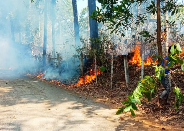 ವಿದ್ಯುತ್ ಟ್ರಾನ್ಸ್ ಫಾರ್ಮರ್ ನಲ್ಲಿ ಶಾರ್ಟ್ ಸರ್ಕ್ಯೂಟ್ ನಿಂದ ಬೆಂಕಿ ಅವಘಡ, ಸಂಪಾಜೆಯಲ್ಲಿ ಹೊತ್ತಿ ಉರಿದ ಕೃಷಿ ಭೂಮಿ