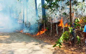 ವಿದ್ಯುತ್ ಟ್ರಾನ್ಸ್ ಫಾರ್ಮರ್ ನಲ್ಲಿ ಶಾರ್ಟ್ ಸರ್ಕ್ಯೂಟ್ ನಿಂದ ಬೆಂಕಿ ಅವಘಡ, ಸಂಪಾಜೆಯಲ್ಲಿ ಹೊತ್ತಿ ಉರಿದ ಕೃಷಿ ಭೂಮಿ