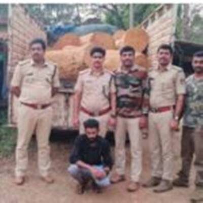 ಸಂಪಾಜೆ:ಅಕ್ರಮ ಮರದ ದಿಮ್ಮಿ ಸಾಗಾಟ,ಆರೋಪಿ ಬಂಧನ