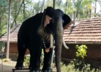 ಭಾರಿ ಸುದ್ದಿಯಲ್ಲಿರುವ ಕೇರಳದ ಕೃಷ್ಣ ದೇಗುಲದ ರೊಬೋಟಿಕ್ ಆನೆ,ಜೀವಂತ ಆನೆ ಬಳಸುವುದಿಲ್ಲವೇಕೆ?