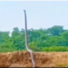ಬಾನೆತ್ತರಕ್ಕೆ ಹೆಡೆಬಿಚ್ಚಿ ನಿಂತ ಕಾಳಿಂಗ ಸರ್ಪ,ವಿಡಿಯೋ ವೈರಲ್ !